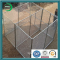 Supply Dog Wire Cage (xy-p19)